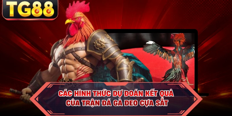 Các hình thức dự đoán kết quả của trận đá gà đeo cựa sắt
