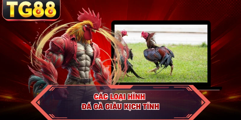 Các loại hình đá gà giàu kịch tính