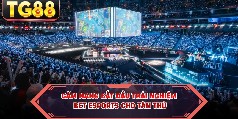 Cẩm nang bắt đầu trải nghiệm Bet Esports cho tân thủ